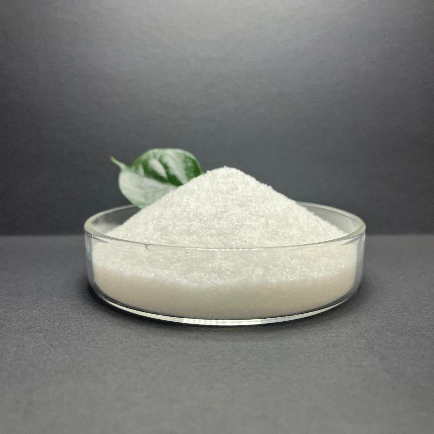 Anionic Polyacrylamide